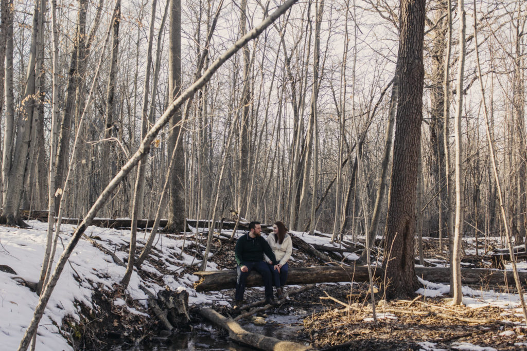 Maybury State Park Engagement Session Northville MI engagement session detroit wedding photographer