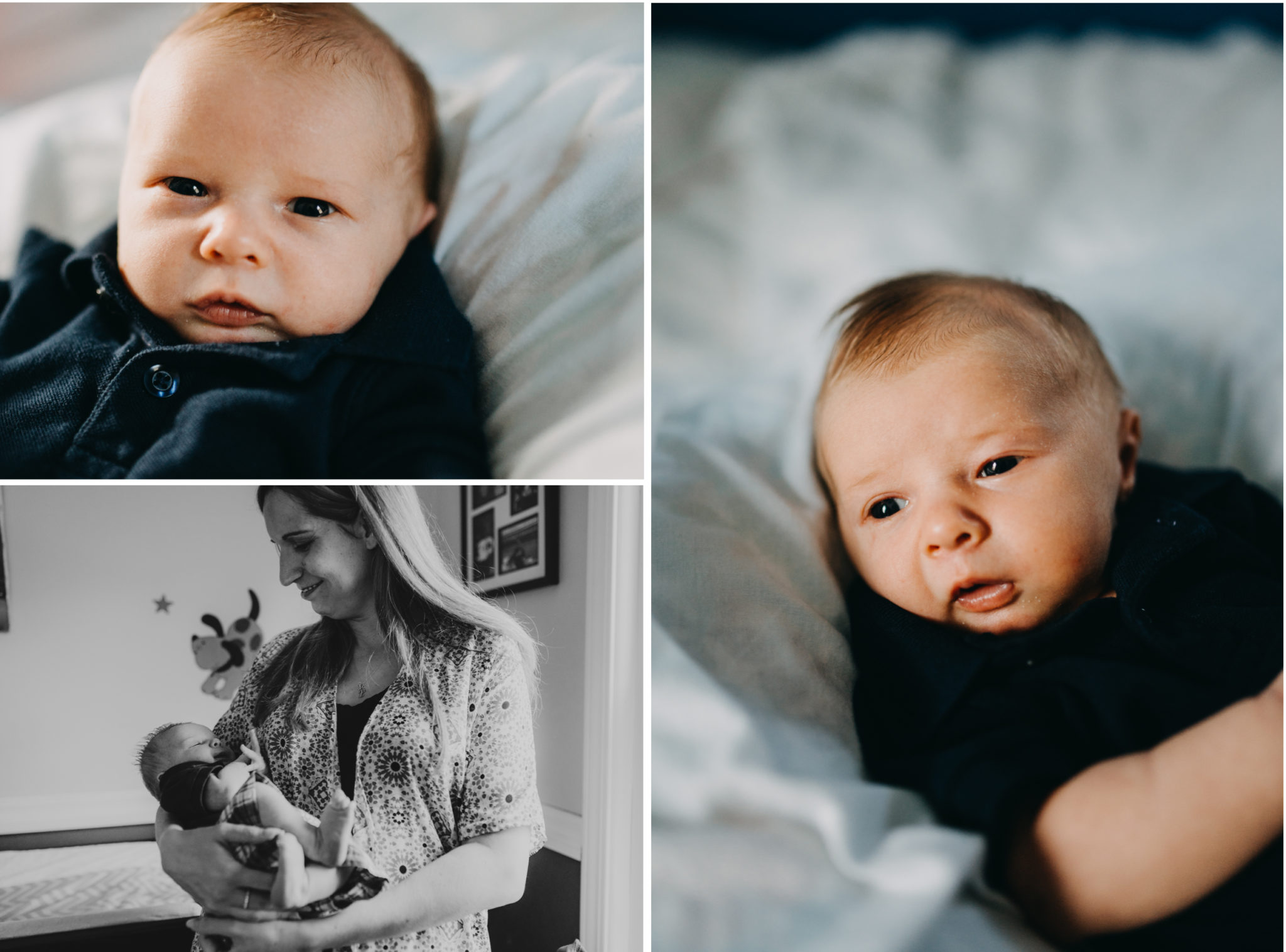 clawson michigan newborn photographer detroit family lifestyle session